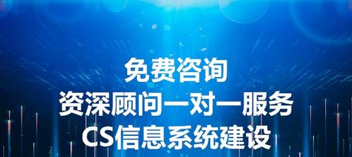 昌旭咨詢 CS信息系統(tǒng)建設(shè)和服務(wù)能力申報(bào)條件與信息咨詢服務(wù)